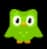 Duolingo  icon