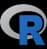 R icon