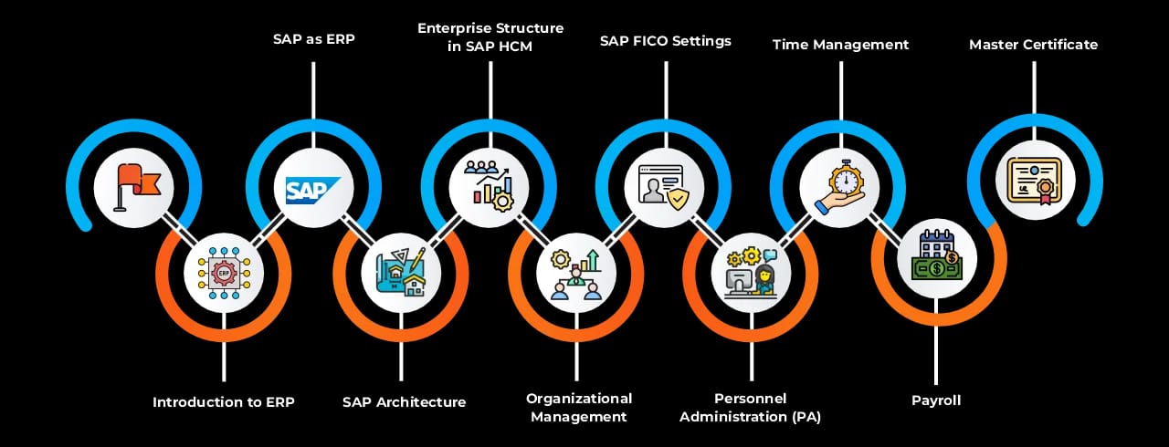 Learning curve for SAP Success Factor Learning curve for SAP Success Factor