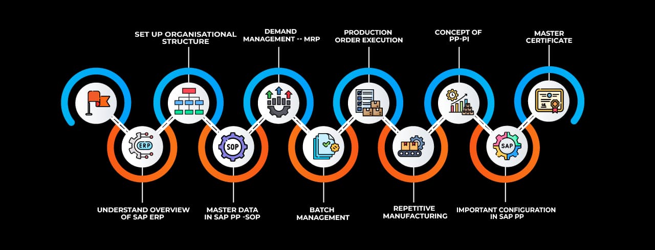 Learning curve for SAP PP Learning curve for SAP PP