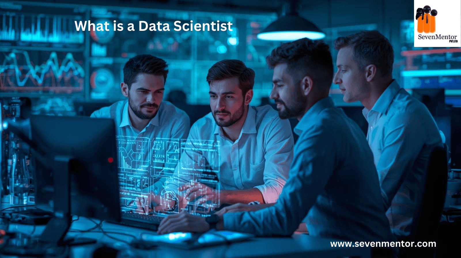 What is a Data Scientist?