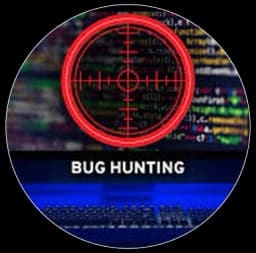Bug Hunting