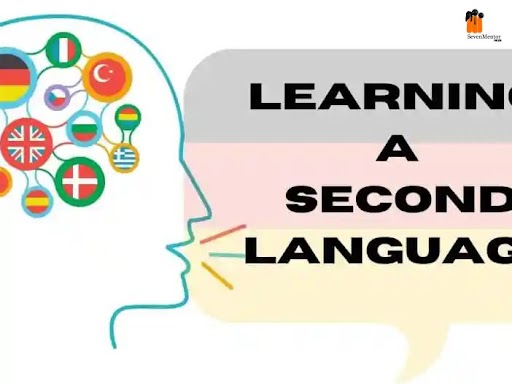 Challenges encountered in learning a new language