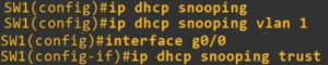 DHCP Snooping