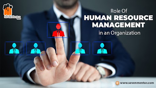 Role of Human Resource Management in an Organization